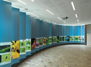 https://www.alainpierot.com:443/files/gimgs/th-9_pontoise 6.jpg